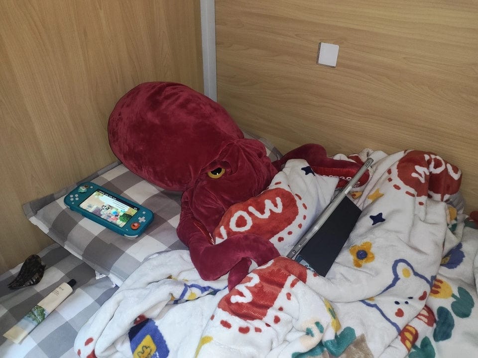 Customer photo review of Giant Pacific Octopus Plush Toy – Ultra-Realistic, Cuddly, and Perfect for Ocean Lovers