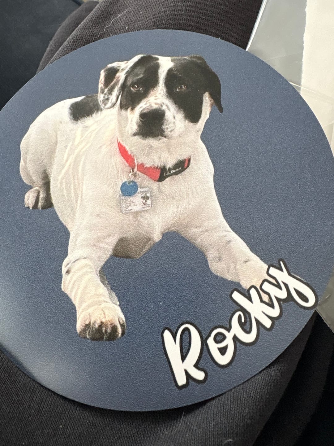 Customer photo review of Your photo - Personalized Car Magnet