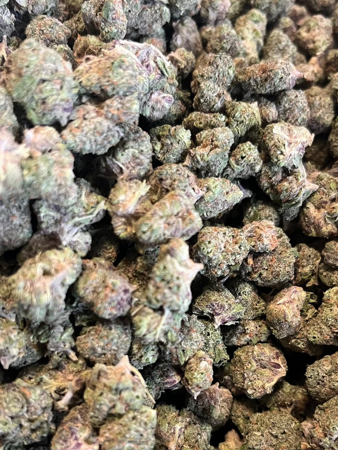 Customer photo review of 24K Gold Indoor Minis - Bulk Minis - Indica