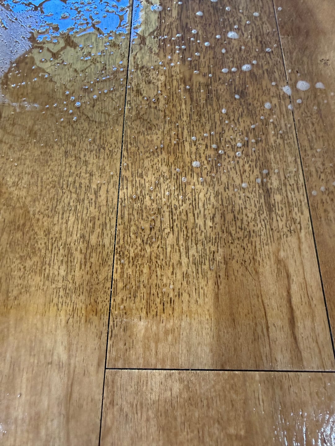 Customer photo review of SHYN Degreaser