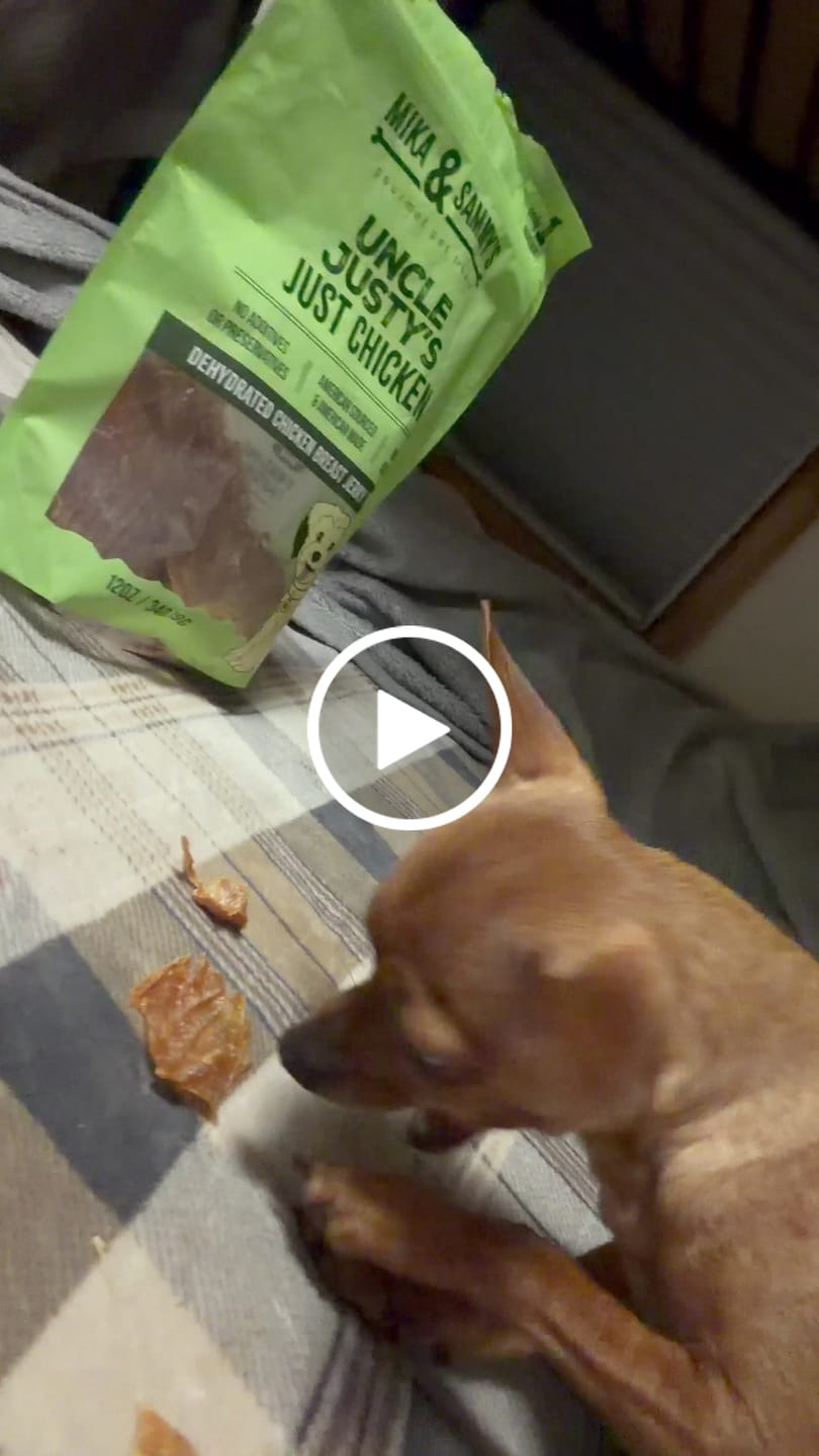 Customer video review of Uncle Justy's Just Chicken
