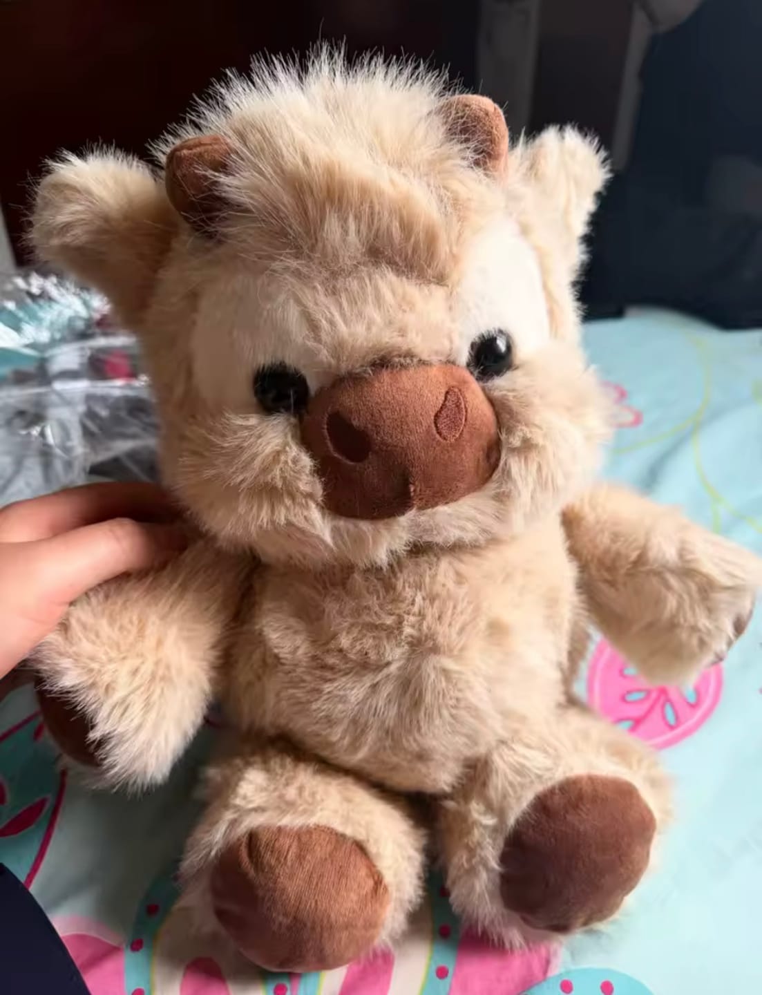 Customer photo review of Kiki & Koko los peluches que corren a tus brazos