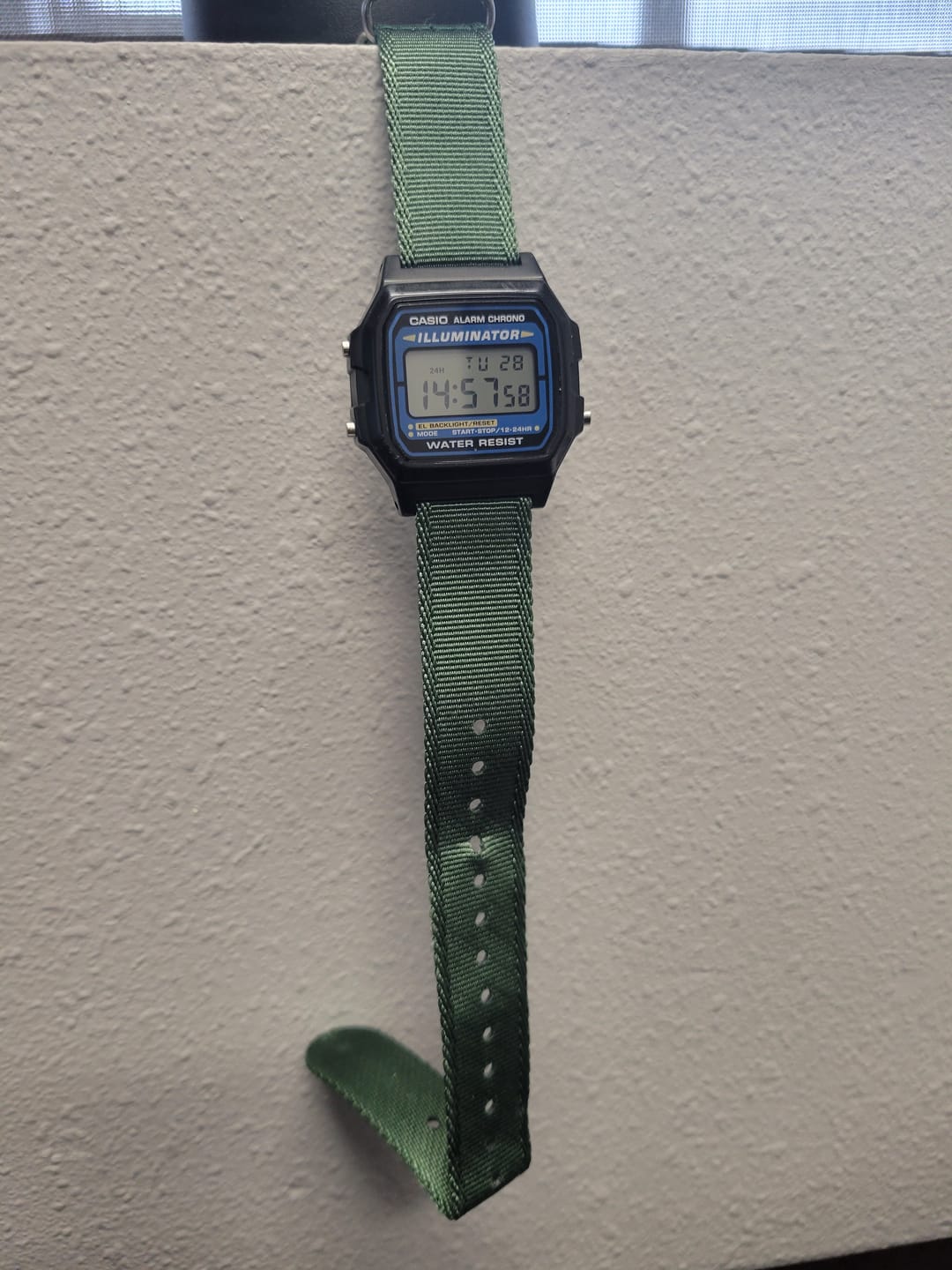Customer photo review of Nautilus One - Seaweed Green