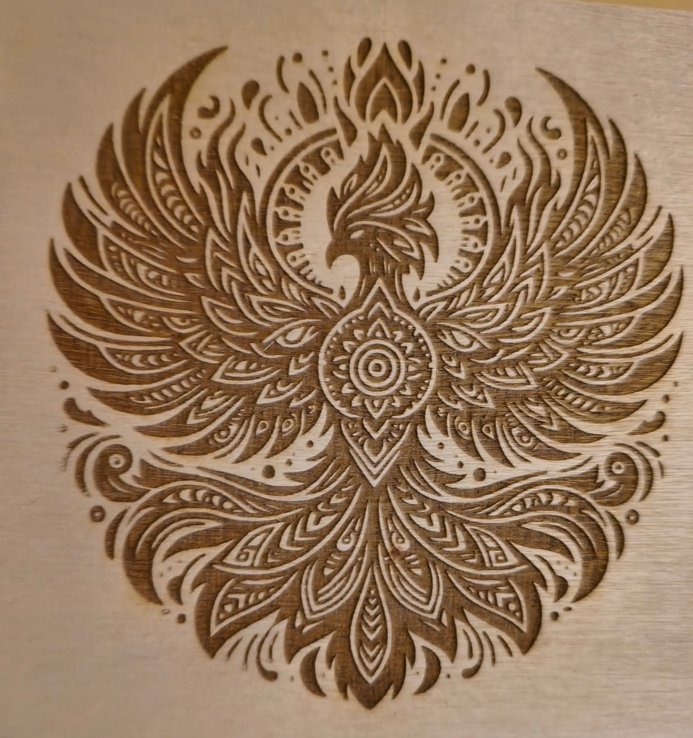 Customer photo review of Carverall A1Pro Mini Laser Engraver | Portable & Desktop | Dual Laser Options