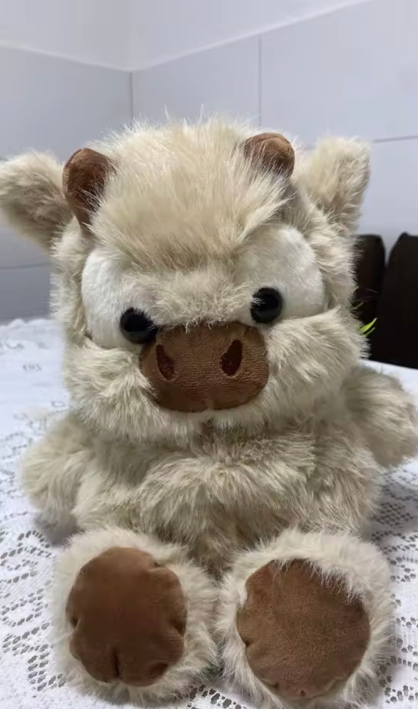 Customer photo review of Kiki & Koko los peluches que corren a tus brazos
