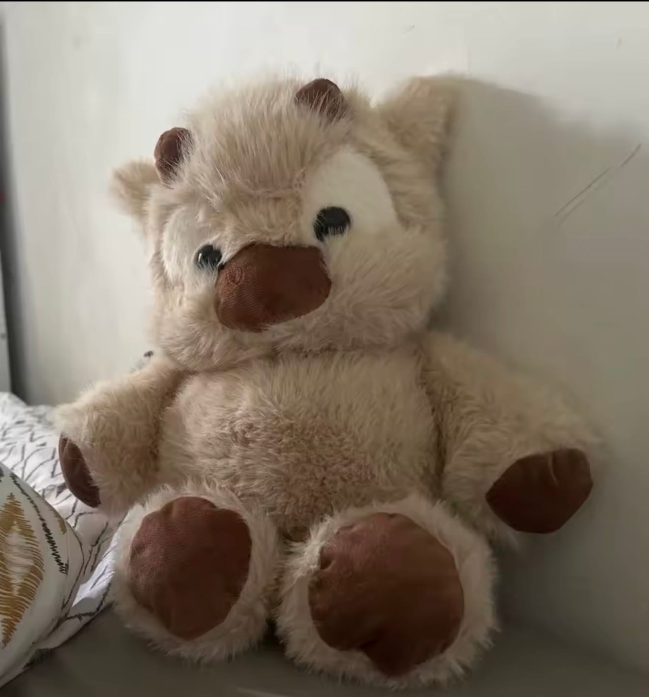 Customer photo review of Kiki & Koko los peluches que corren a tus brazos