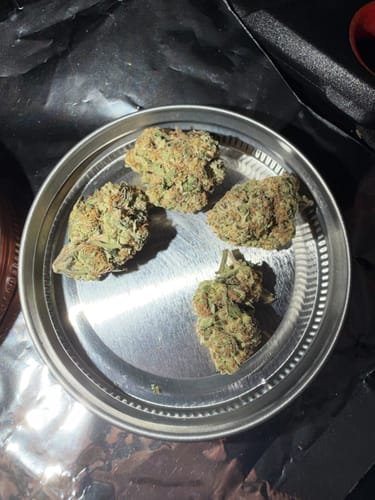 Customer photo review of Blueberry Muffin THCA Flower