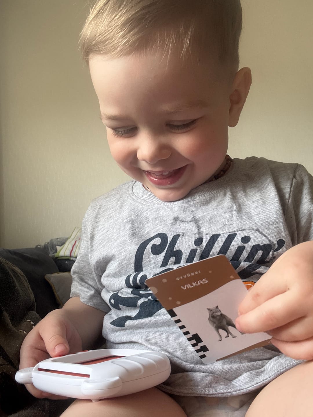 Customer photo review of Luloo kalbos kortelės - lietuviškai įgarsintos lavinamosios kortelės