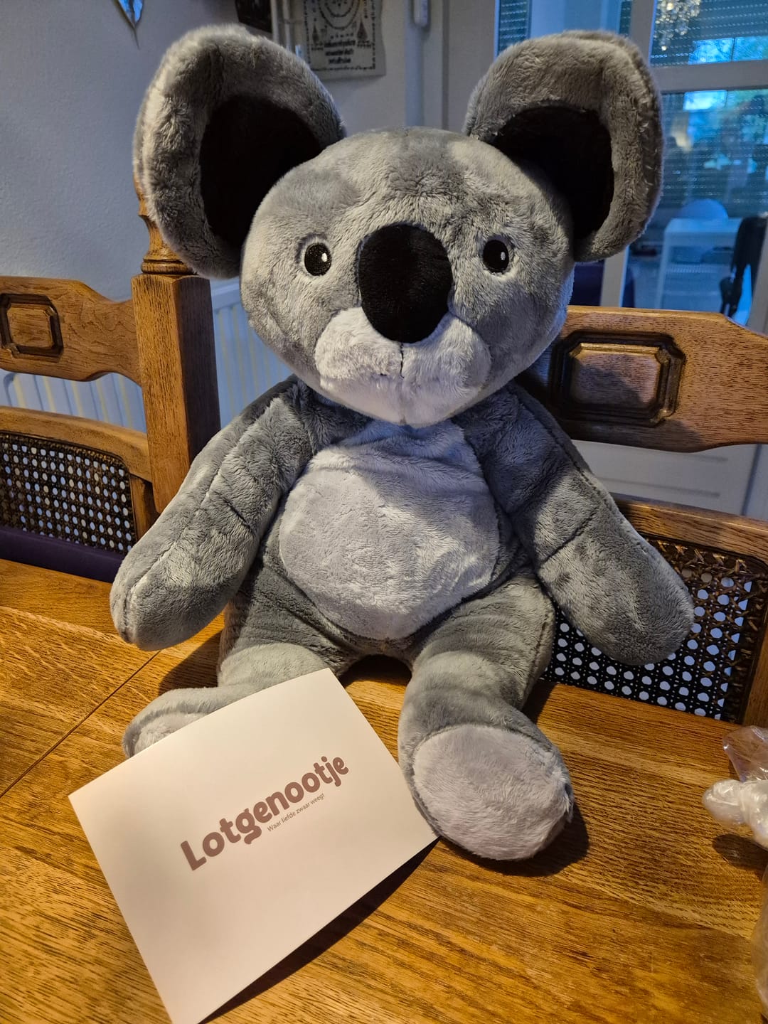 Customer photo review of Lotgenootje Koala 2kg