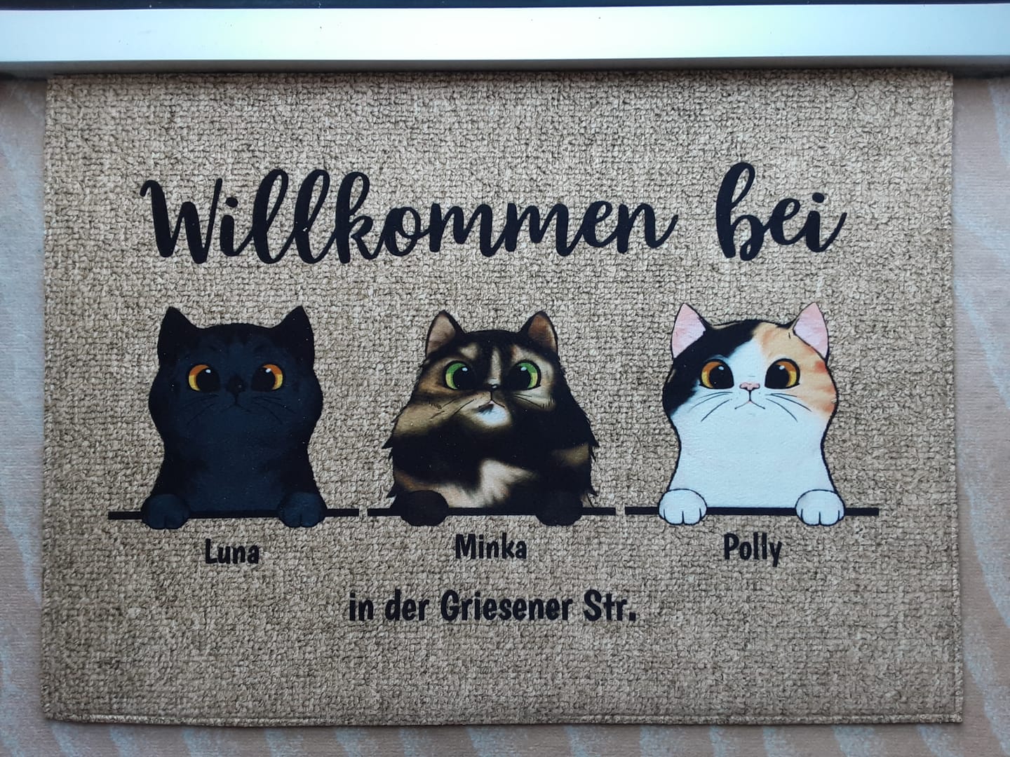 Customer photo review of Personalisierte Fußmatte - Willkommen bei neugierigen Katzen