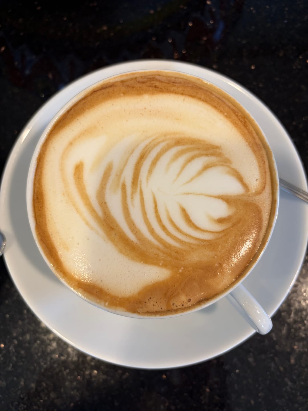 Customer photo review of Seek® Organic Mold & Mycotoxin Free Espresso