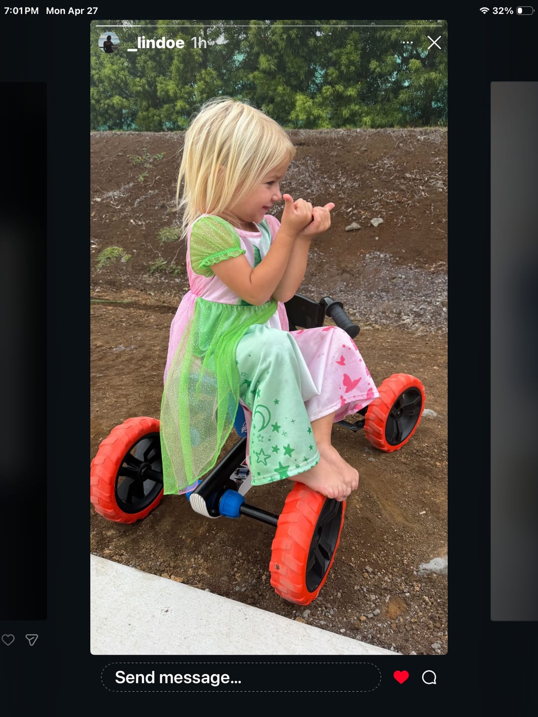 Customer photo review of BERG Buzzy