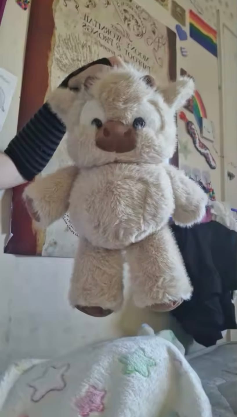 Customer photo review of Kiki & Koko los peluches que corren a tus brazos