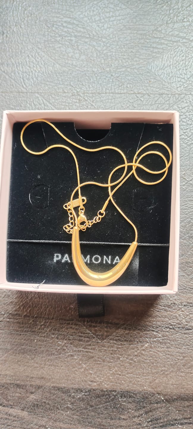 Customer photo review of Golden Boomerang Necklace