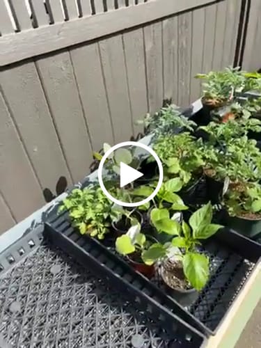 Customer video review of 17” Tall Modular 9 in 1
