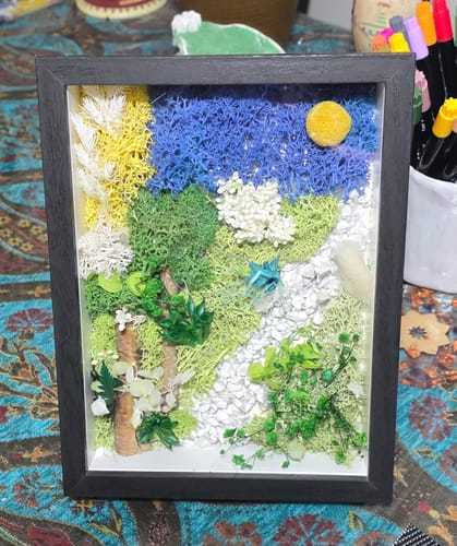 Customer's completed Moss Art Box project, a colorful moss landscape set in a black frame.