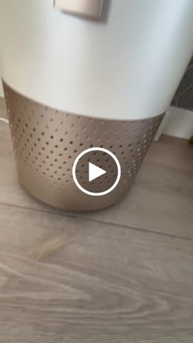 Customer video review of Pet Air Purifier