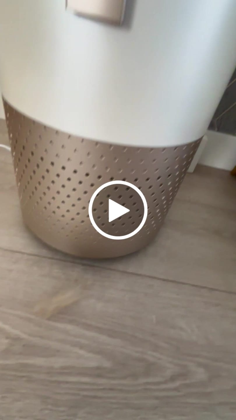 Customer video review of Pet Air Purifier