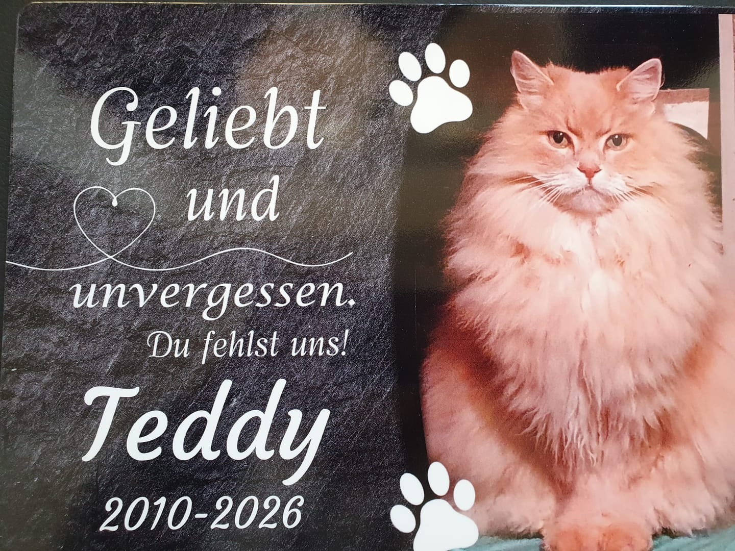 Customer photo review of Katzen Gedenktafel mit Foto & Spruch (UV- & Wetterfest)
