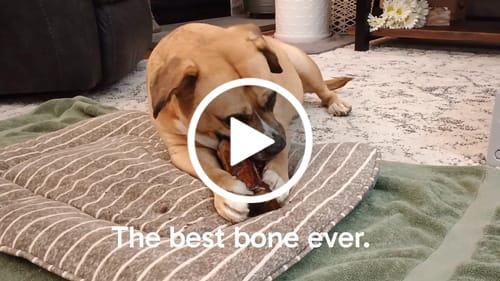 Customer video review of Smoked Beef Marrow Bone