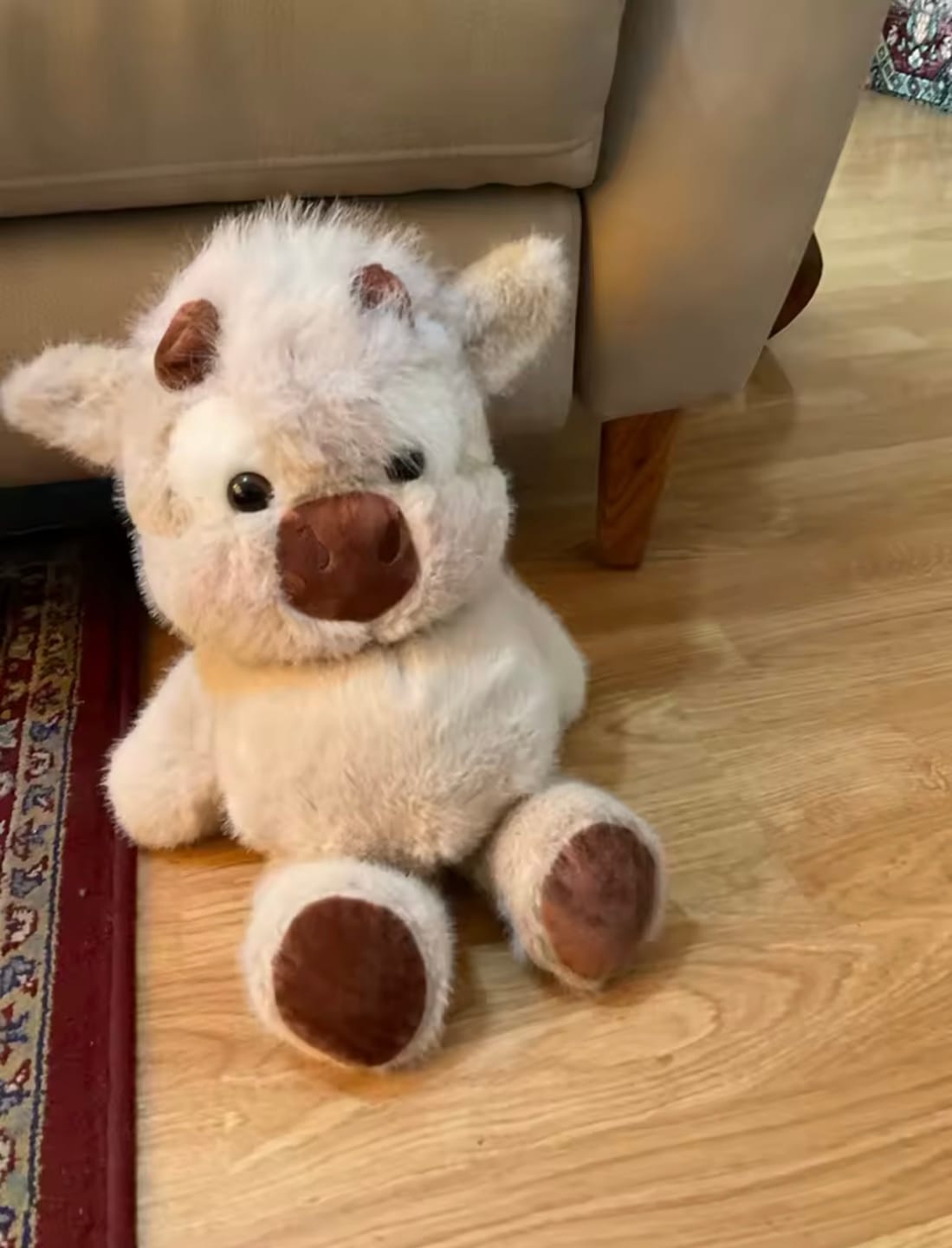 Customer photo review of Kiki & Koko los peluches que corren a tus brazos