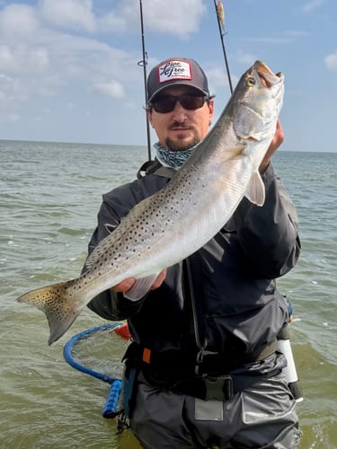 Customer wearing The War Belt and waders while standing in the water and holding a large fish.