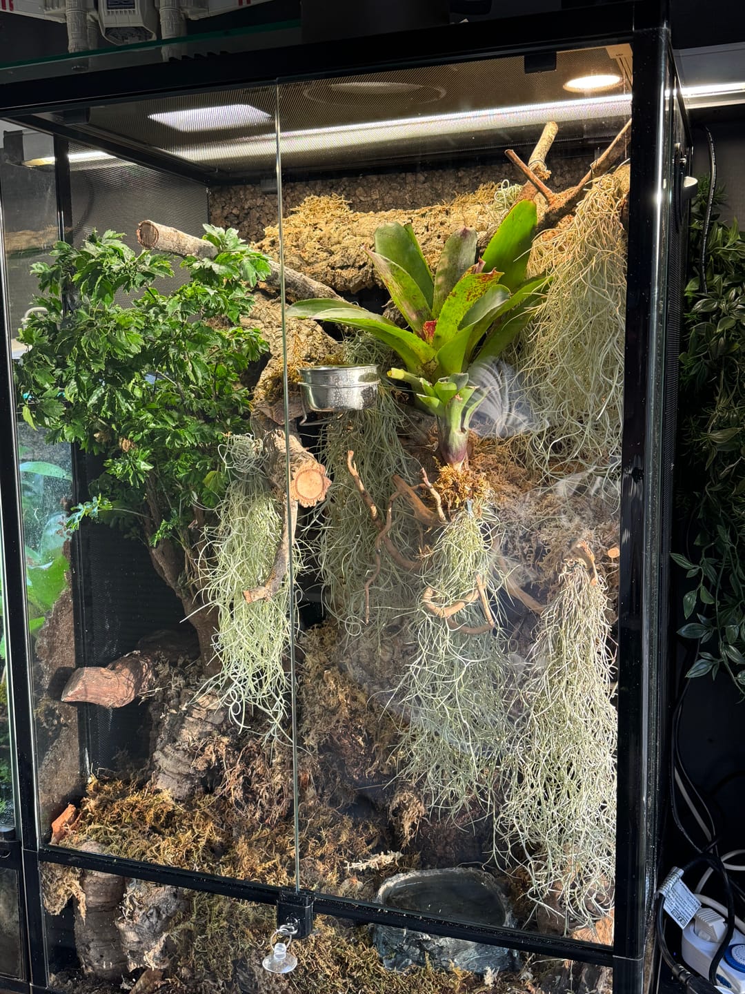 Customer photo review of Terrarium REPTIZOO Démontable et Étanche - 60 x 45 x 90 cm