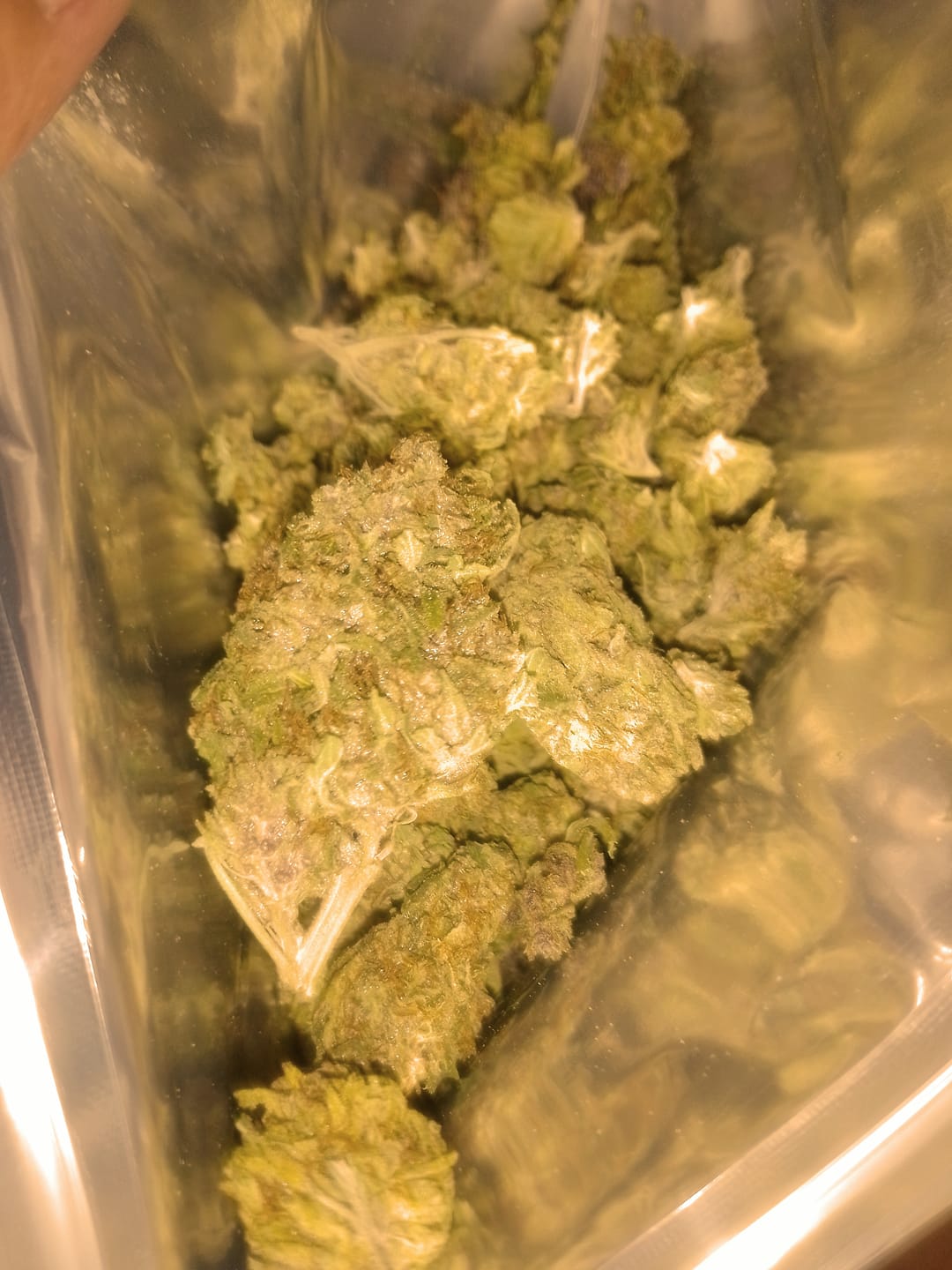 Customer photo review of THCA Pre-Roll