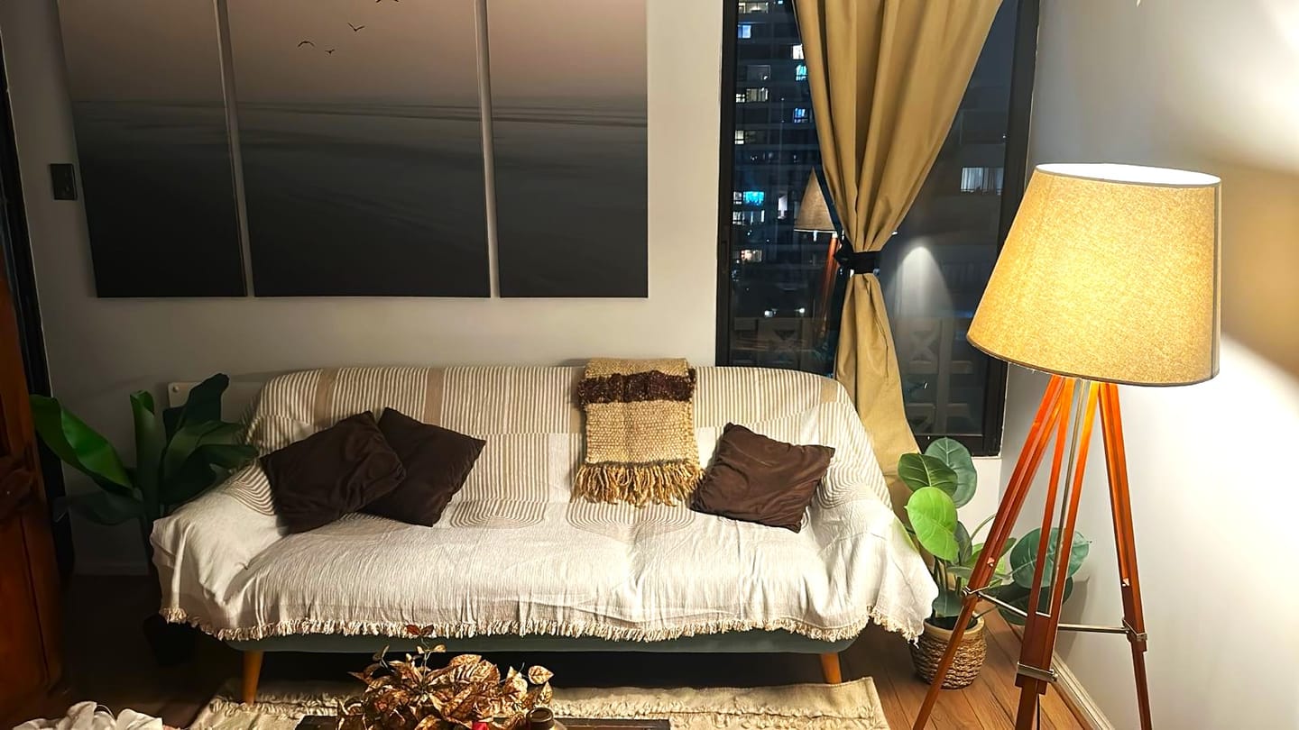 Customer photo review of Manta Cubresofá Frazada Premium De Living Dormitorio Sillon 180x230cm