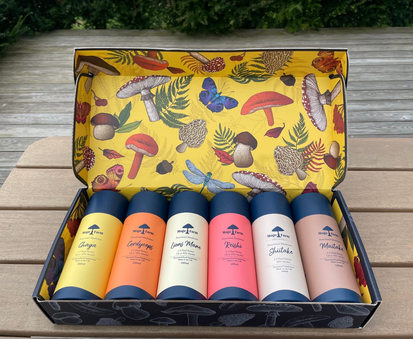 Customer photo review of Mogo 6 Tincture Bundle