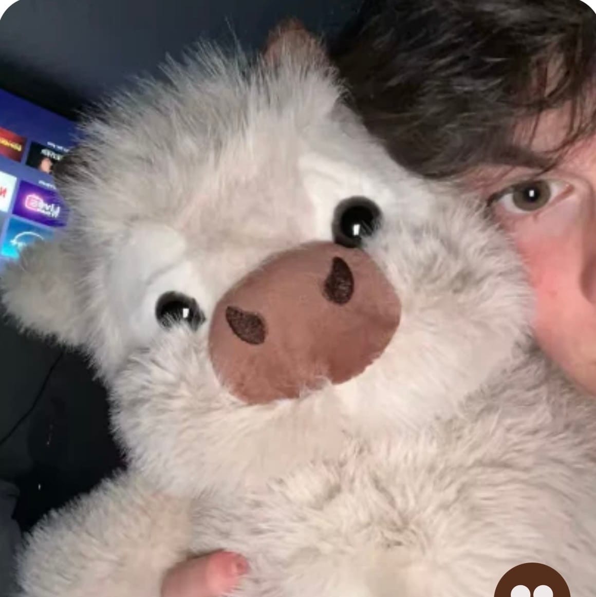 Customer photo review of Kiki & Koko los peluches que corren a tus brazos