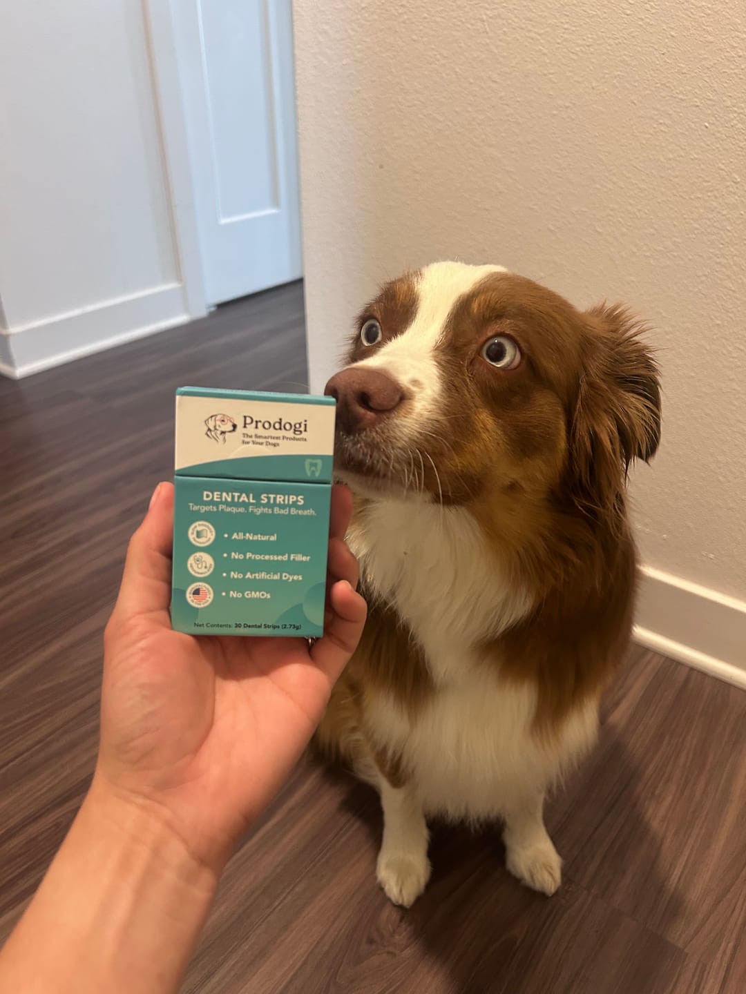 Customer photo review of DENTAL STRIPS