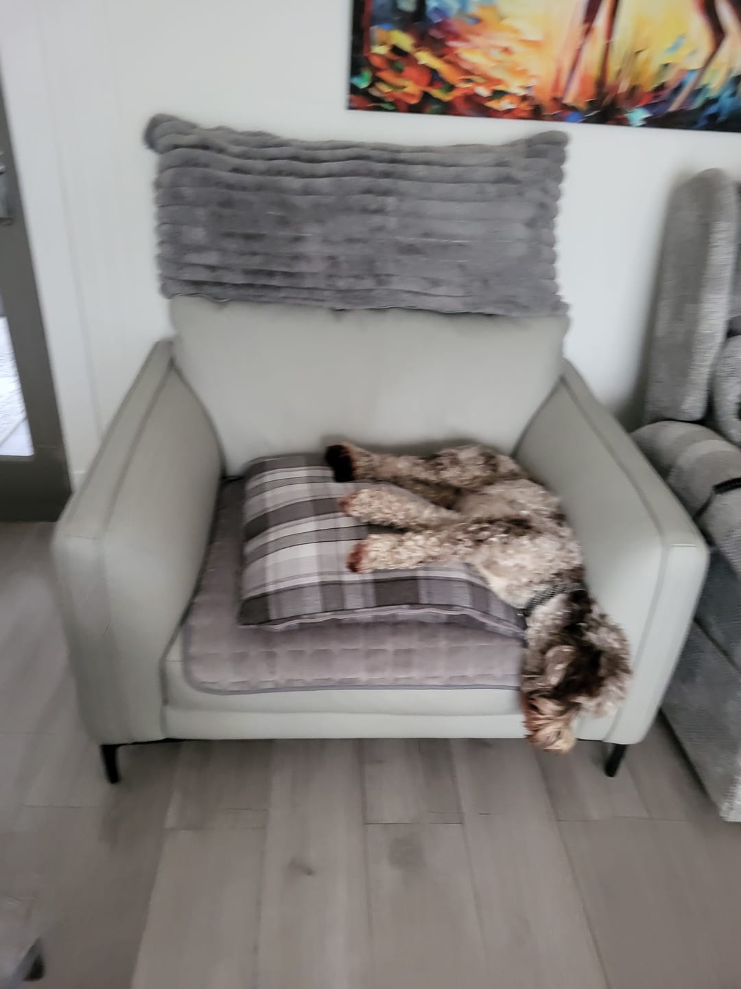 Customer photo review of Soren Leather Armchair, Dove Grey