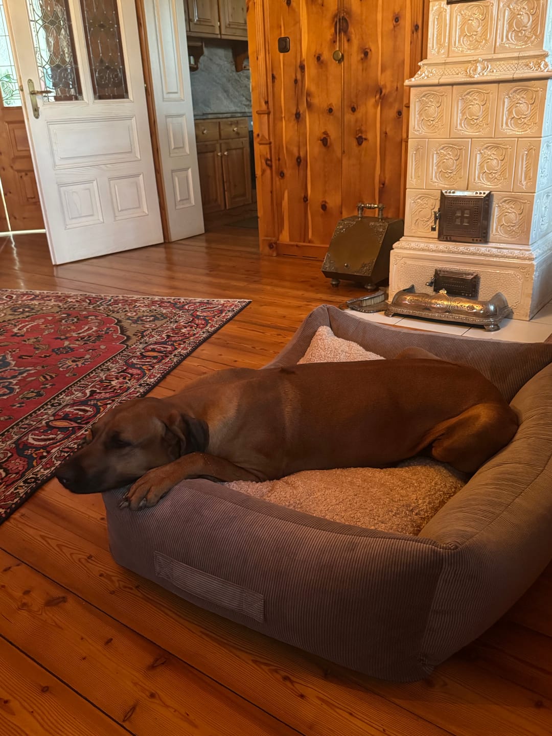 Customer photo review of Kingston – Cord Double Face - Luxury Dog Bed