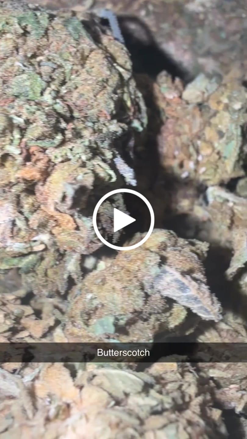 Customer video review of Butterscotch OG - Bulk - Indica