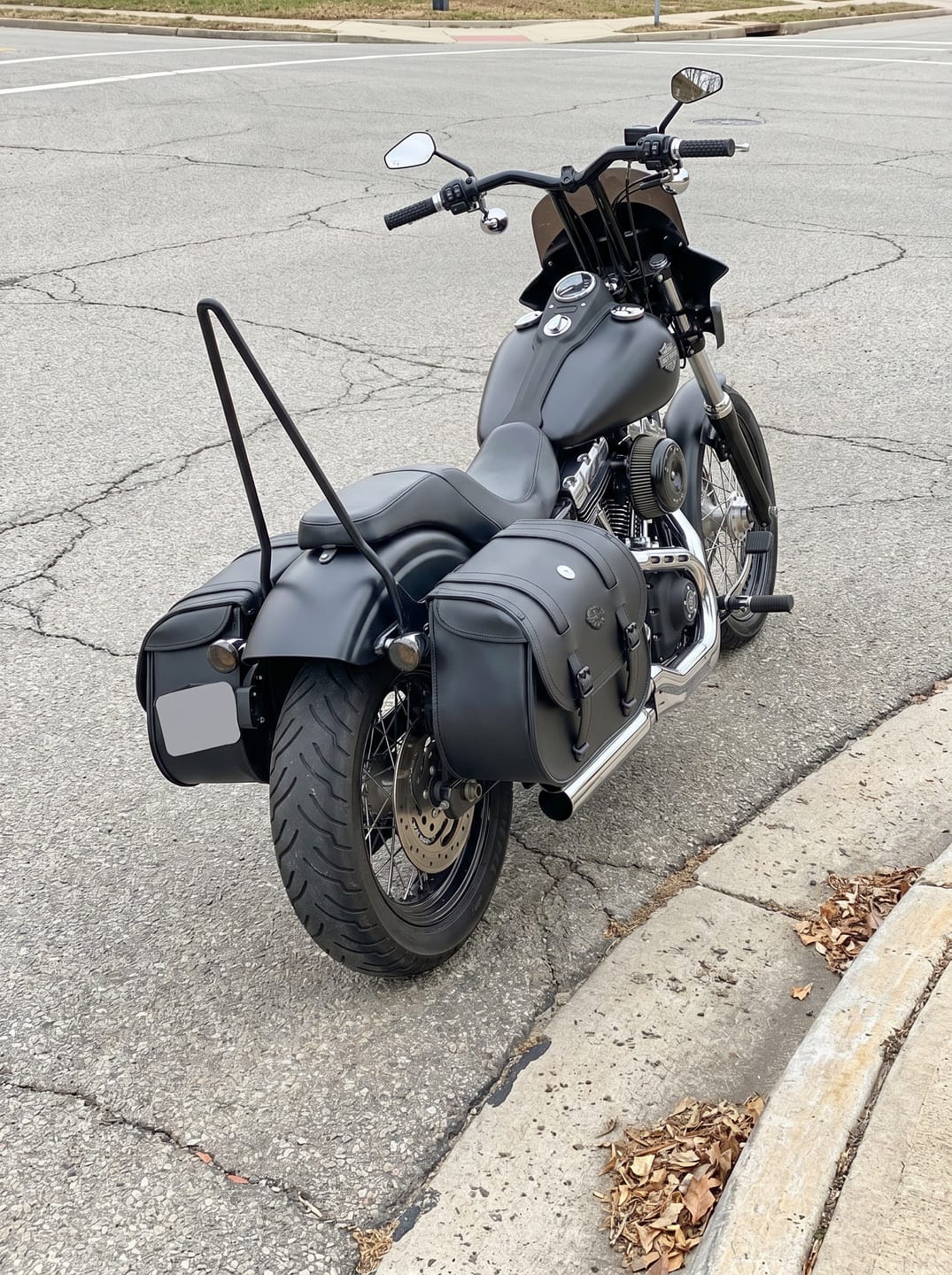 Customer photo review of 30L - Wraith Large Quick-Mount Shock Cutout Leather Saddlebags For Harley Dyna Wide Glide FXDWG/I