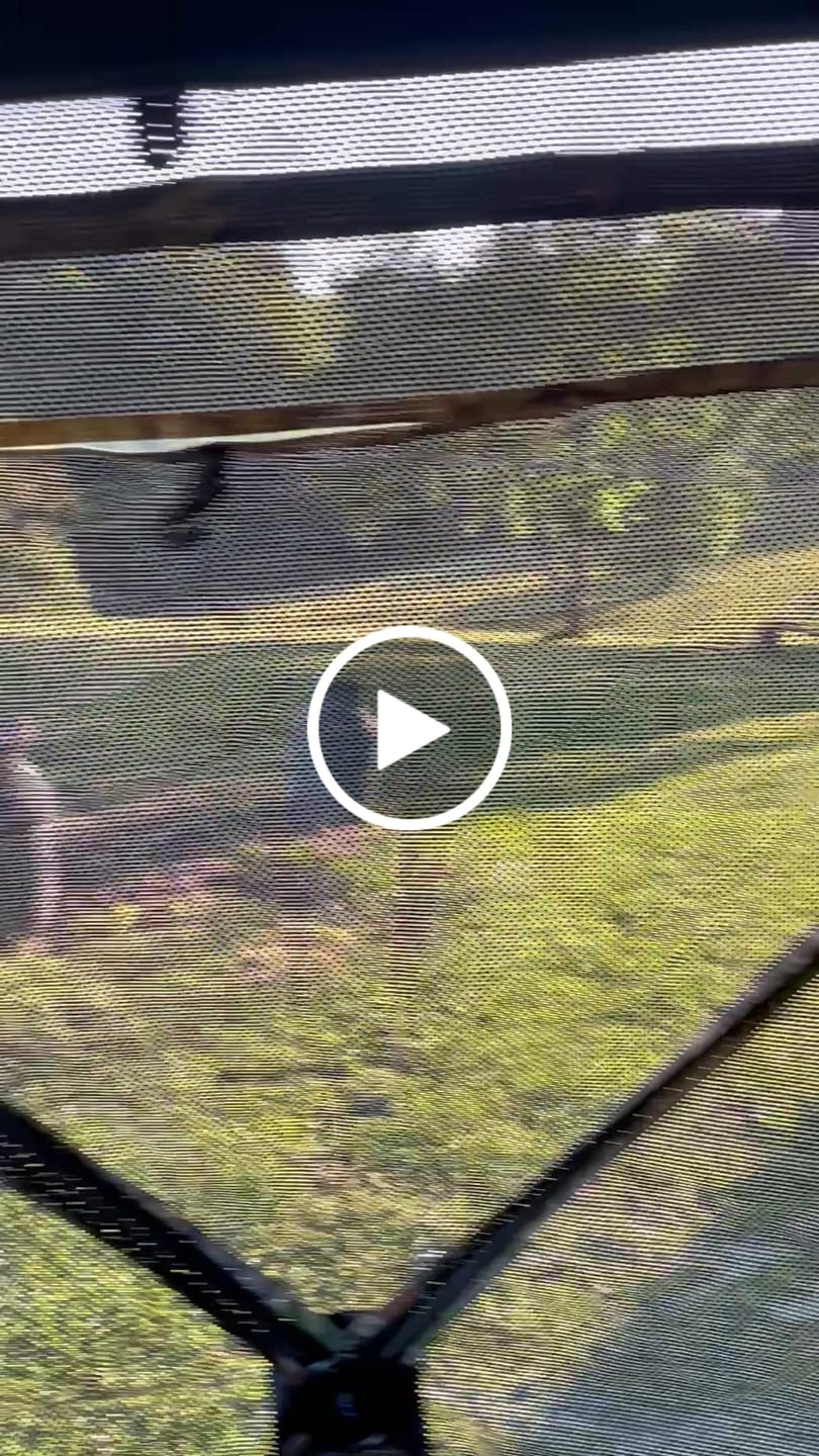 Customer video review of 270° See Through 1-2 Person Hunting Blind, Pop Up Ground Deer Blind