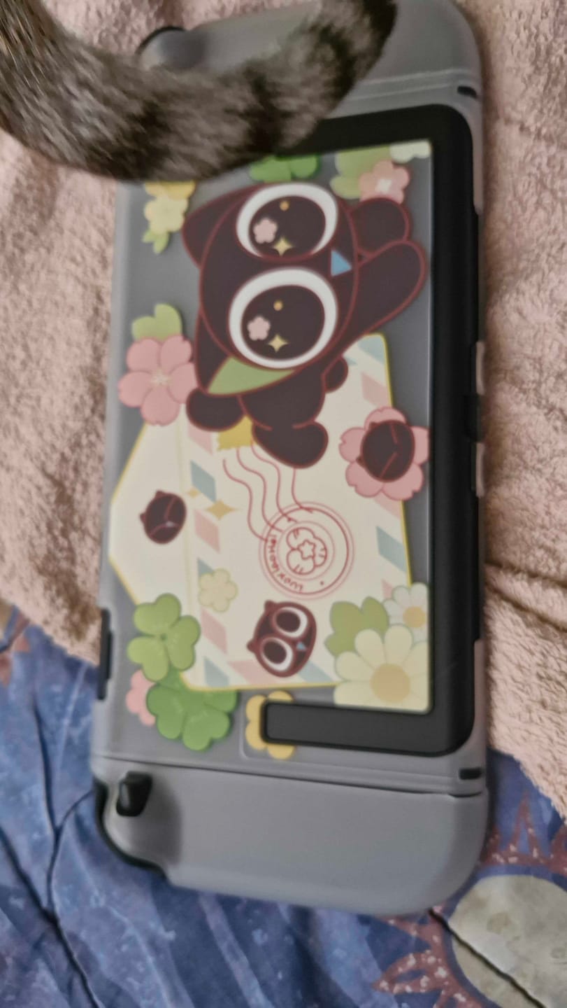 Customer photo review of GeekShare x Luo Xiaohei “Spring Letter”  Protective Case for Switch 2