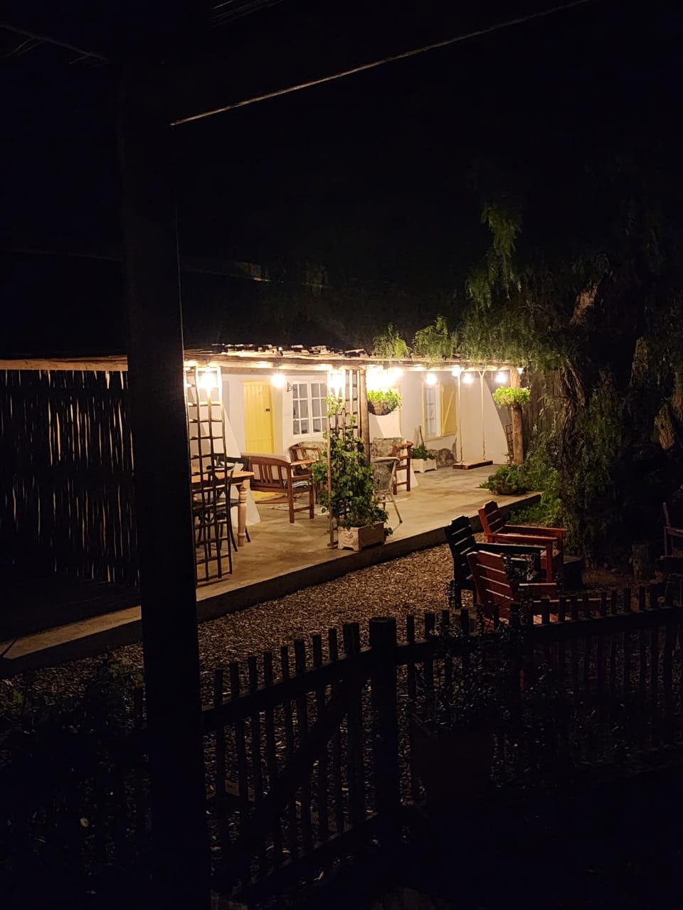 Customer photo review of Plug-In Festoon Bulb String Lights