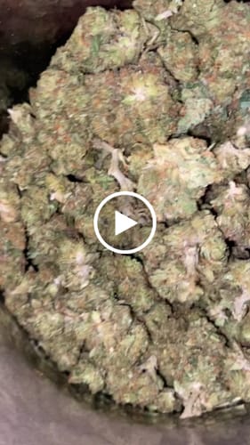 Durban Poison - Bulk - Sativa photo review