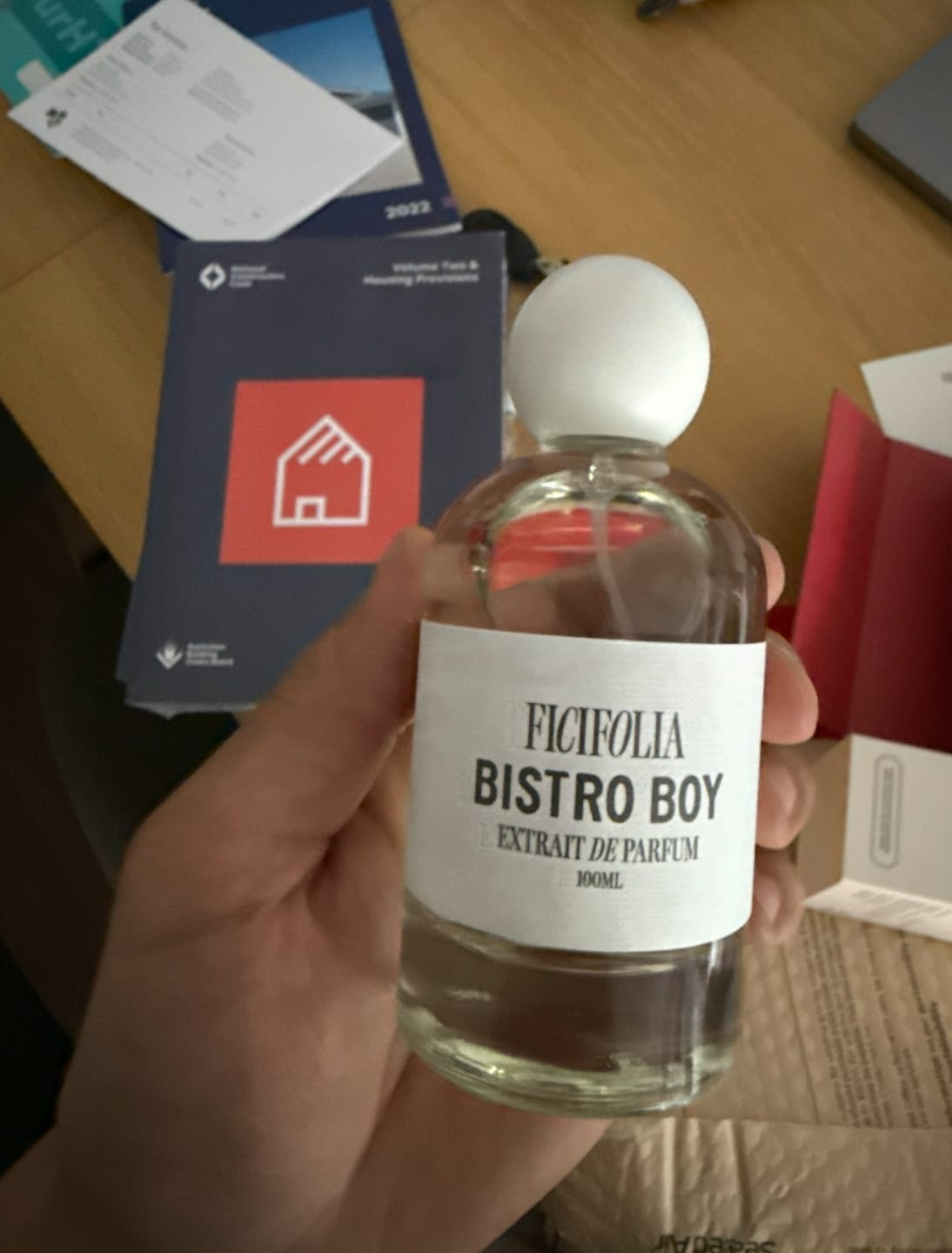 Customer photo review of BISTRO BOY ™