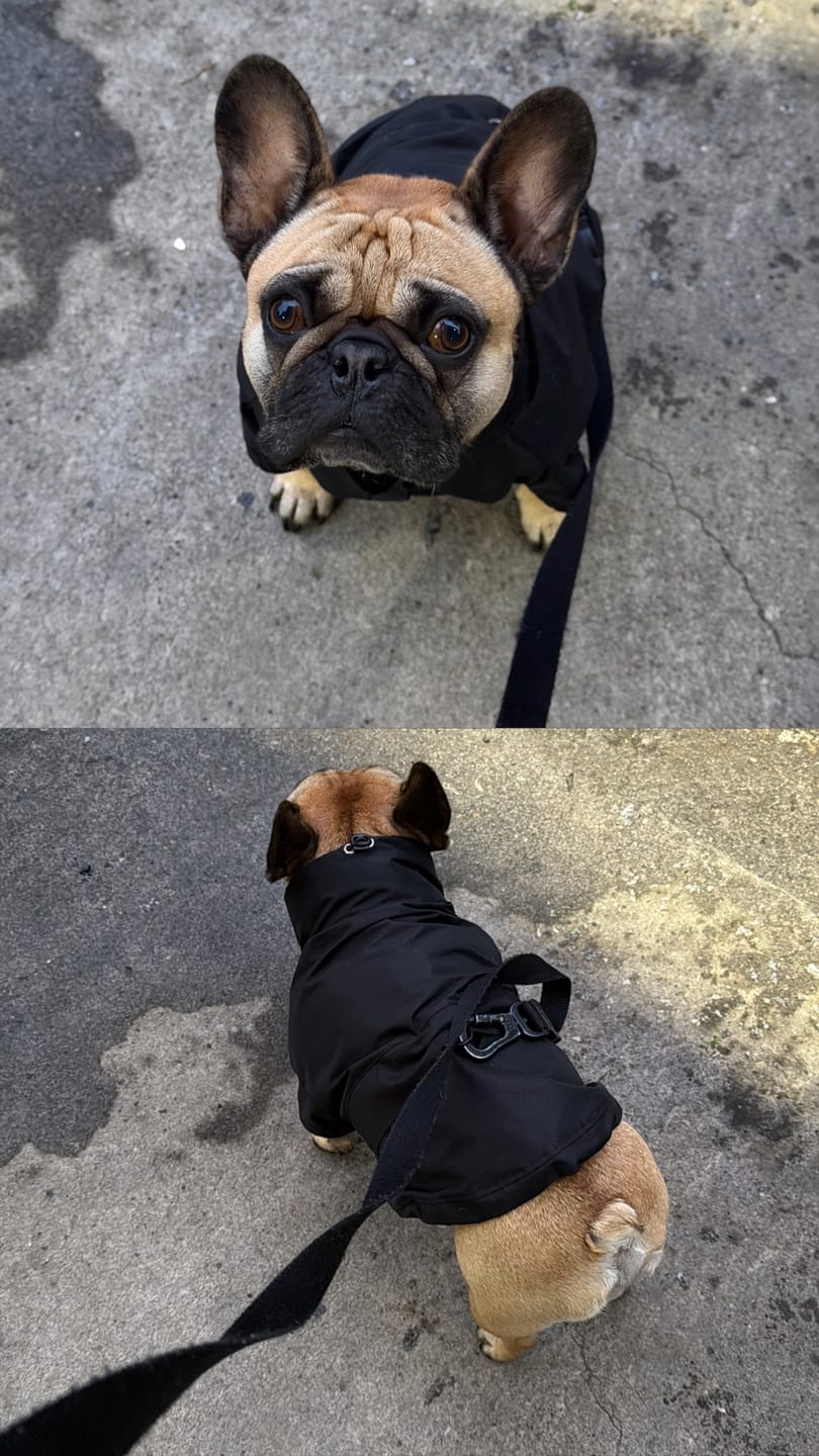 Customer photo review of Chaqueta Impermeable de Lluvia - Negro