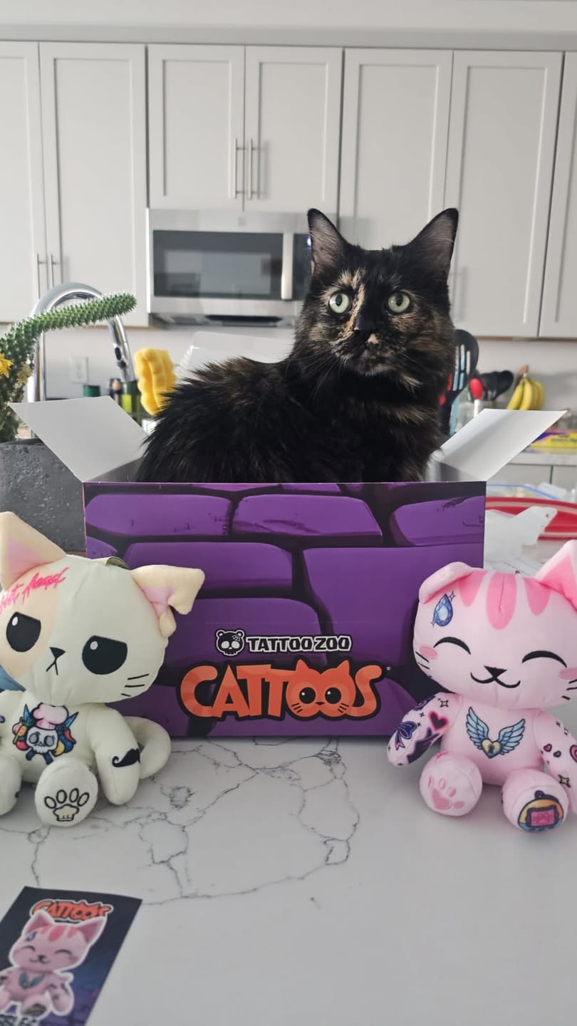 Customer photo review of Cattoos Plush Pendant Blind Box