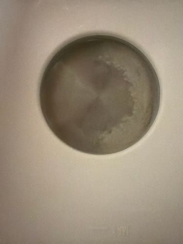 Customer photo review of Sterilizer Dryer מחטא ומייבש בקבוקי תינוקות