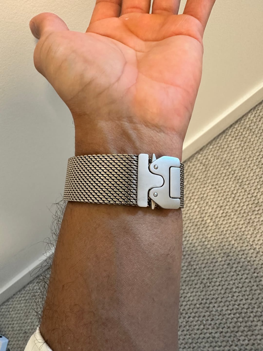 Customer photo review of Titanium Milanese Loop