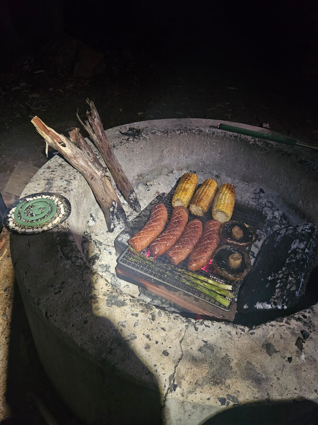 Customer photo review of Ultralight Titanium Grill