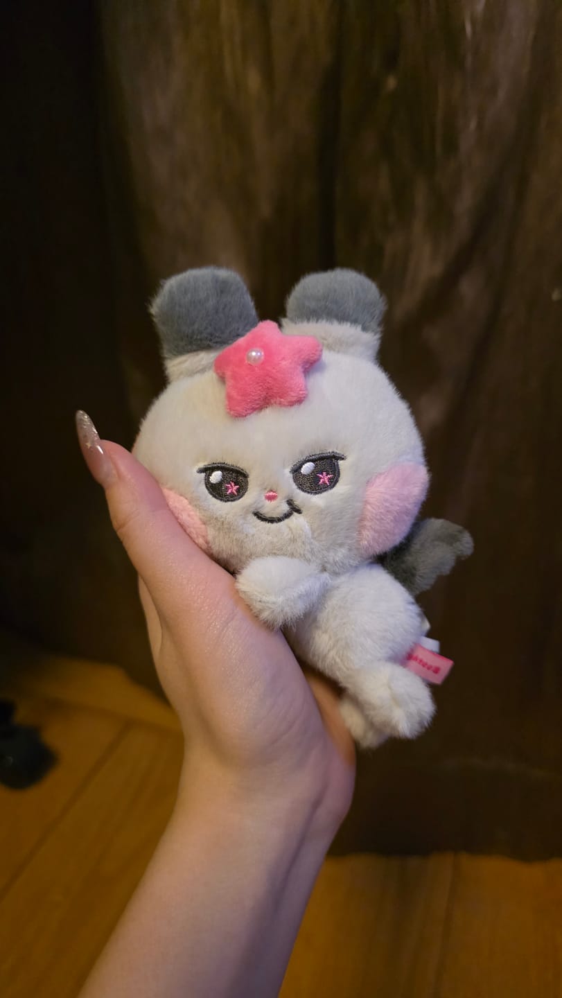 Customer photo review of ATEEZ - MIGHTEEZ WONDER FAIRY PLUSH KEYRING
