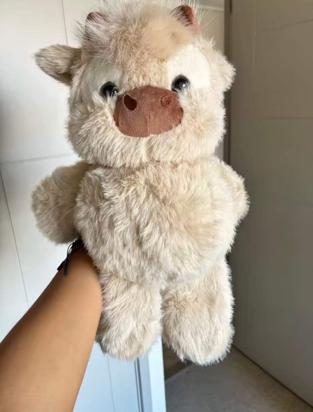 Customer photo review of Kiki & Koko los peluches que corren a tus brazos