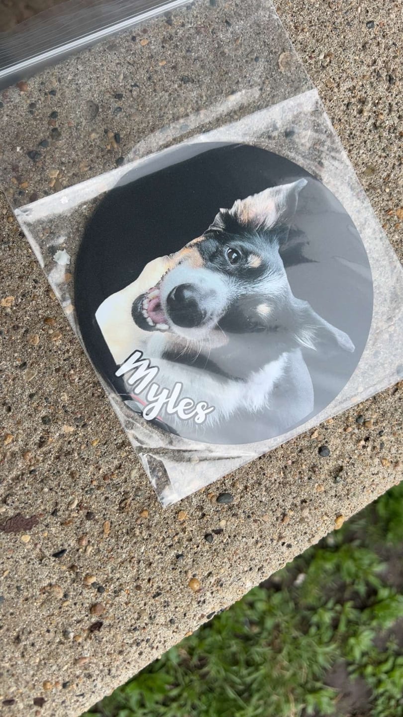 Customer photo review of Your photo - Personalized Car Magnet