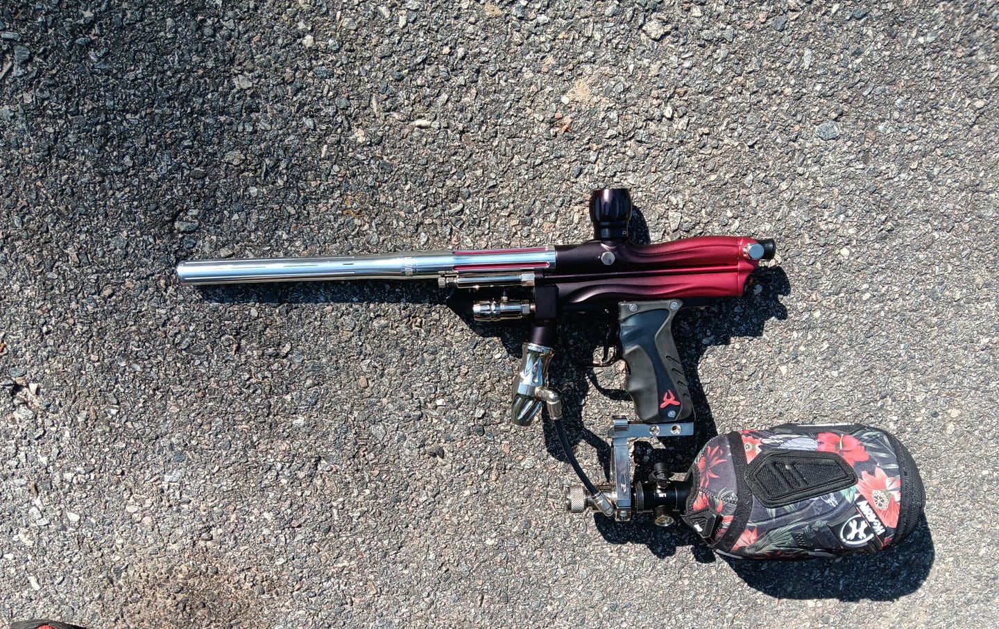 Customer photo review of Silencio FXL Back - Cocker Thread